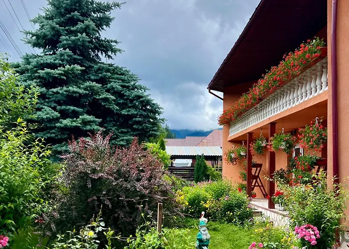 Casa Dobra Hotel Arieşeni